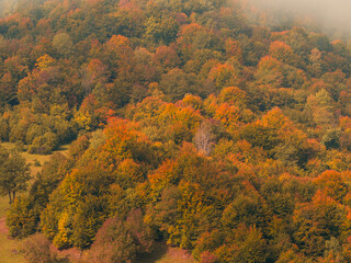 Misty fall Carpathian Mountains fog landscape. Village in Transcarpathia region Foggy spruce pine trees forest scenic view Ukraine, Europe. Autumn countryside Eco Local tourism Recreational activities