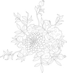 Realistic dahlia and pomegranate flower bouquet sketch template. Cartoon peony vector illustration in black and white for games, background, pattern, decor. Coloring paper, page, story book, print