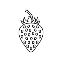 Strawberry icon vector illustration. Berry on isolated background. Fruit sign concept.
