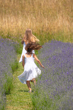 Young girls with long hair running in a lavender field in summer time