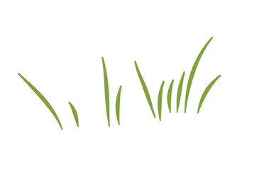 Fototapeta premium Green Grass