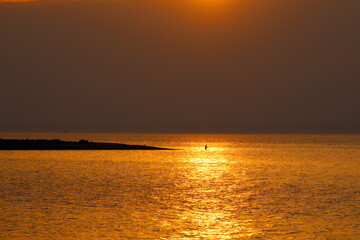 Fishing in the golden sea at sunset in July