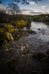 creek in donegal during autumn