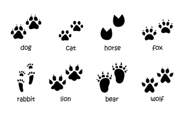 Vector set of animal footprints. Paw tracks in black color. Animal feet silhouette collection of cat, dog, fox, horse, rabbit, lion, bear and wolf prints. - obrazy, fototapety, plakaty