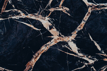 Marble rock texture. Dark and white colors