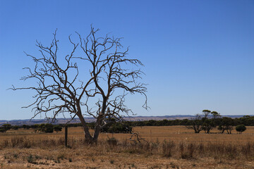 limate change in Australia