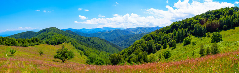 Fototapeta na wymiar panorama over green hills, Calugaru hills, Cindrel mountains, Sibiu county, Romania