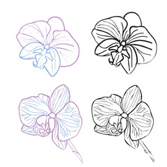 Orchid tropical flower line art flower head set. Vector hand drawn illustration for design of card or invite, logo