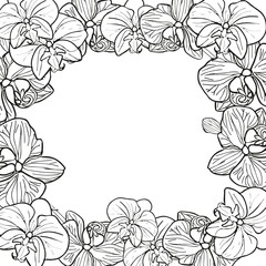 Orchid tropical flower wreath banner. Vector line art hand drawn illustration for design of card or invite, logo, coloring page