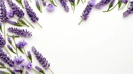 Fotobehang Lavender flowers and leaves frame and border isolated on white background. Top view, flat lay. Creative layout. Floral design element. Healthy eating and alternative medicine concept © HN Works