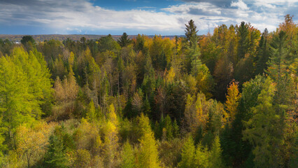 Aerial view of part of the Canadian forest in Quebec in the fall