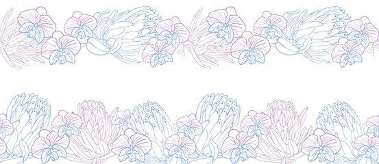Tropical king protea, orchid flower seamless boarder, hand drawn sketch flower head in pastel blue and pink color. Vector background for surface design or textile. - obrazy, fototapety, plakaty