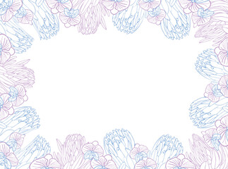 Tropical king protea and orchid flower frame boarder, hand drawn sketch flower head in pastel blue and pink color. Vector background for card or invite.