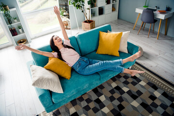 Top bove view photo of positive cheerful lady chilling comfy divan enjoying weekends in modern...