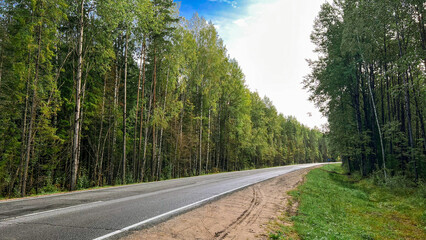 Fototapeta na wymiar empty asphalt road in summer forest