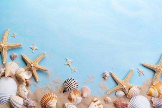 Travel vacation concept. Sea shells on sand