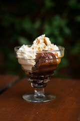 Chocolate and Vanilla Ice Cream with whipped cream on top with a bit of caramel