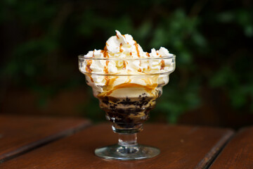 Chocolate and Vanilla Ice Cream with whipped cream on top with a bit of caramel