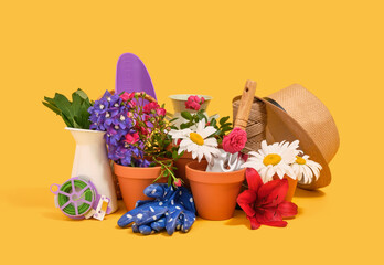 Colorful floral garden arrangement. Working in the spring garden and gardening tools.