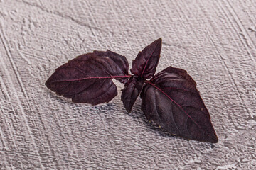 Purple raw organic basil leaves