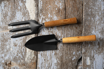 Set of garden tools for plant care in the garden, old wooden background, top view