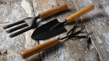 Set of garden tools for caring for plants in the garden, old wooden background, horizontal format