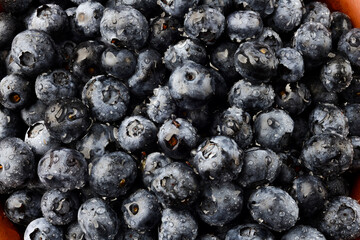 Fresh blueberry background. Texture blueberry berries close up