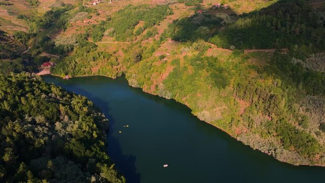 Dense Forests And Vineyards In Belesar Village, Ribeira Sacra In Lugo, Galicia, Spain. Aerial Drone Shot 