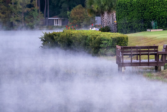 Foggy Dock