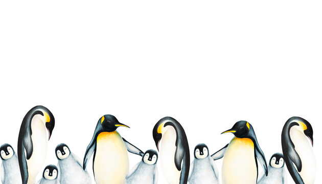 Watercolor seamless border with king penguin family isolated. Hand painting realistic Arctic and Antarctic ocean mammals. For designers, decoration, postcards, 