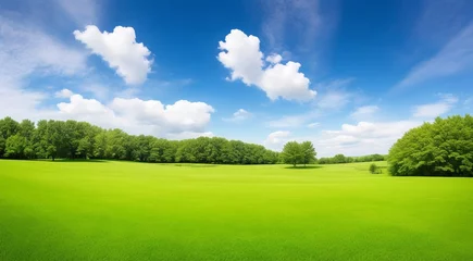 Fotobehang landscape with green grass and trees, landscape with grass and sky, field and sky, panoramic view off green grass field © Gegham