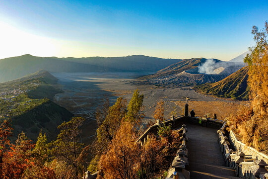 Panorama of Bromo Volcano and Cemoro Lawang from Seruni Viewpoint during sunrise with a tourist sitting and looking at Taman Nacional Park on Java, Indonesia. Green and orange trees.
