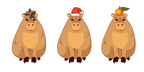 Three Cute capybaras with an orange, mistletoe and a Santa Claus hat on his head stands on a white background, isolate