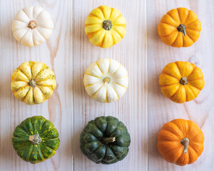 Cute colorful mini pumpkins on white wooden background, view from above, flat lay style. Autumnal...