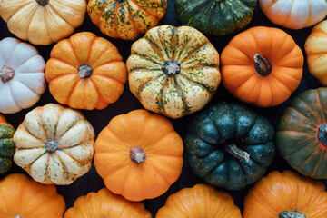 Many colorful mini pumpkins and gourds, view from above. Fall texture for background. Halloween or Thanksgiving celebration.