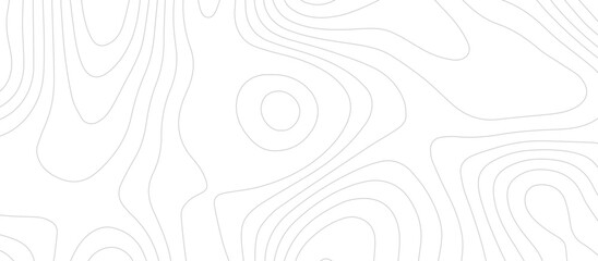 abstract White wave paper curved reliefs background .Panorama view gradient multicolor wave curve lines banner background design. Vector illustration. wave Line topography map contour background.