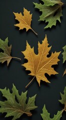 autumn maple leaves, autumn leaves background, full hd leaf background, autumn leaves wallpaper