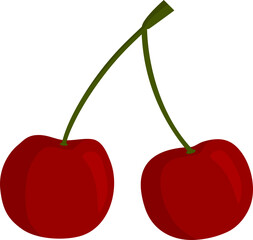 cherry fruit illustration