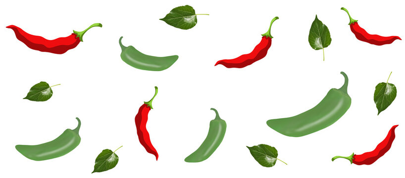 Ilustraci&oacute;n de jalape&ntilde;os y chiles mulatos rodeados por  hojas, con fondo aislado transparente en formato PNG.  