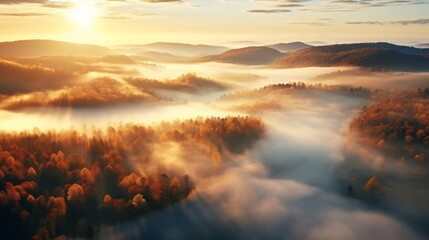 Obraz premium An aerial view of the forest with the sun behind the mist all around, colored autumnal trees in the morning light.