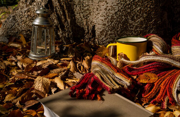 Autumn is here. Drink, scarf, book and lantern on fallen leaves. ...