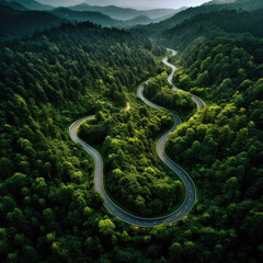 Adventure morning road in the forest, aerial view on deep jungle road. - 661461901