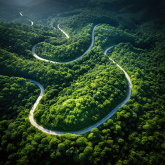 Adventure road trip in the forest, aerial view of a car in forest at trail road copy space. On The Road Again concept.