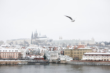 Fototapeta na wymiar Prague historical beautiful Landmarks in Pictures in winter time with seagull