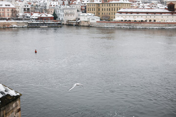 Prague historical beautiful Landmarks in Pictures in winter time with seagull and vltava river