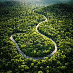 Aerial view of countryside road passing through the green forest and mountain. - 661465506