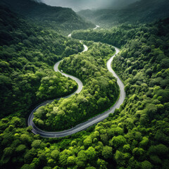 Aerial View of a road on a forest. Forest road through coniferous wood shape above