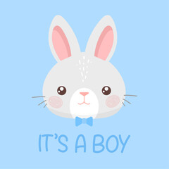 It's a boy. Cute baby bunny rabbit. Cartoon vector illustration