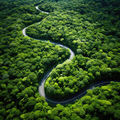 Aerial view of a mountain road in the form of a heart through a forest landscape