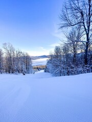 someone skiing down a hill by some trees in the background